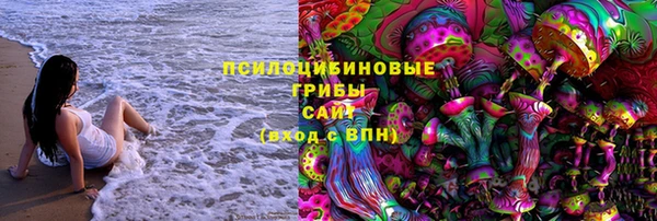 PSILOCYBIN Михайловка