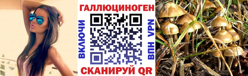 блэк спрут ссылка  Цивильск  Псилоцибиновые грибы мухоморы 